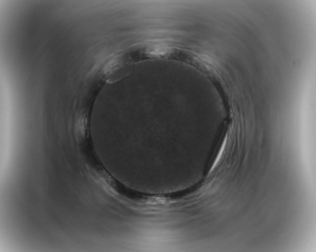 X0000086890227200704301003