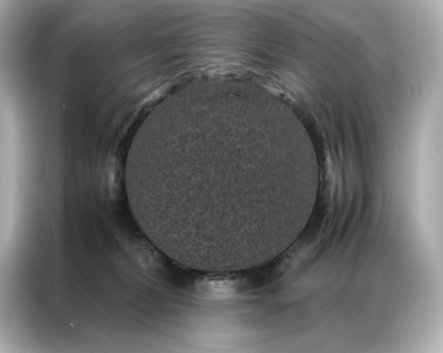 X0000086890228200704301003