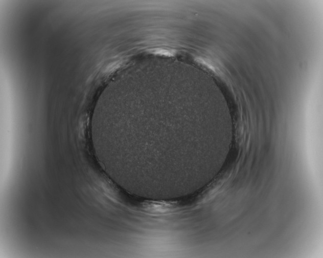 X0000086890229200704301003