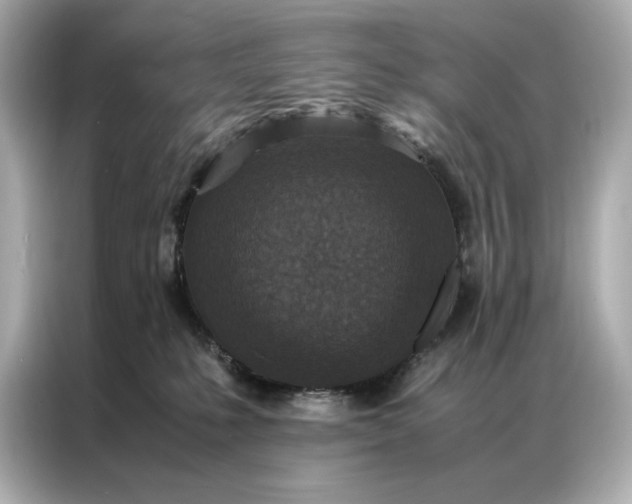 X0000086890231200704301003