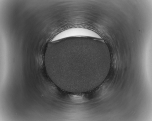 X0000086890232200704301003