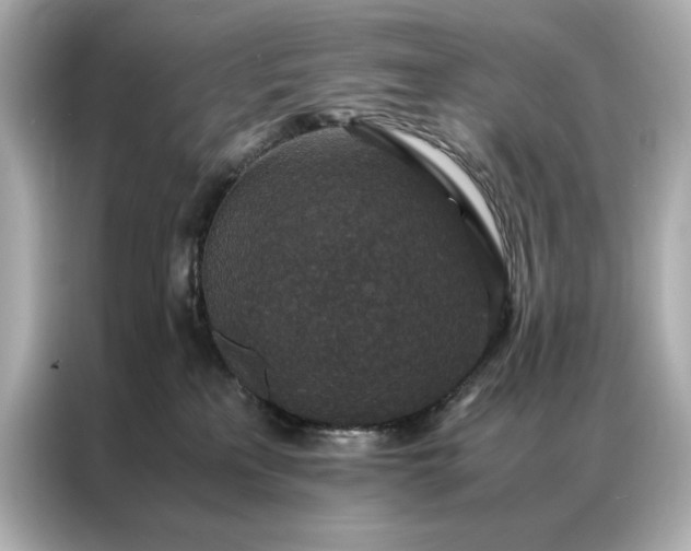 X0000086890233200704301003