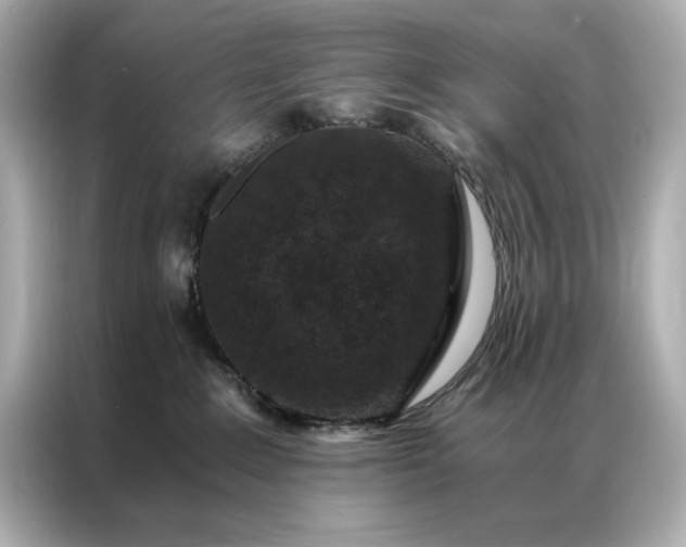 X0000086890235200704301003