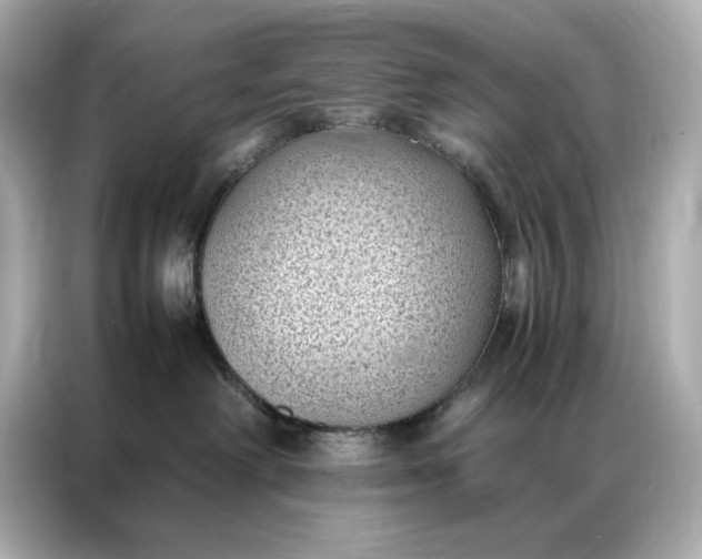 X0000086890238200704301003