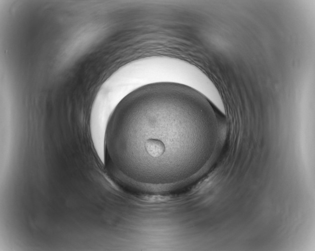 X0000086890239200704301003