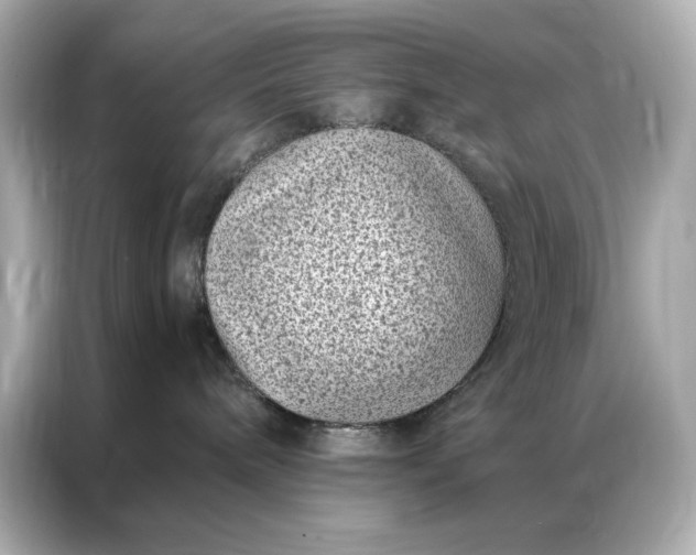 X0000086890240200704301003