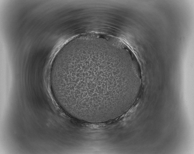 X0000086890241200704301002