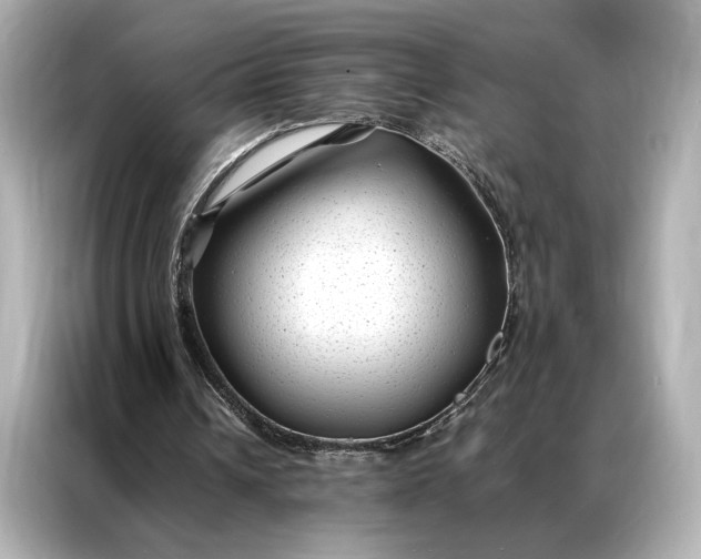 X0000086890242200704301002