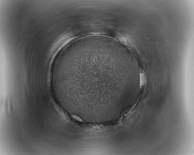 X0000086890243200704301002