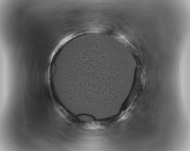 X0000086890244200704301002