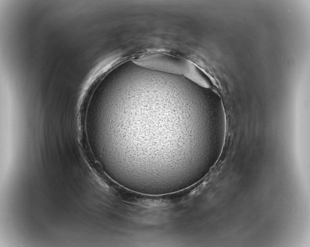 X0000086890245200704301002