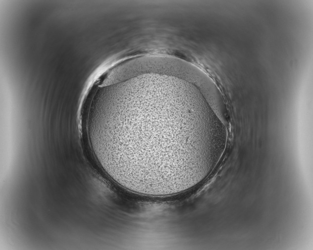 X0000086890246200704301002