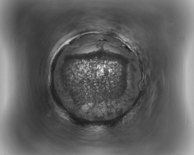 X0000086890247200704301002