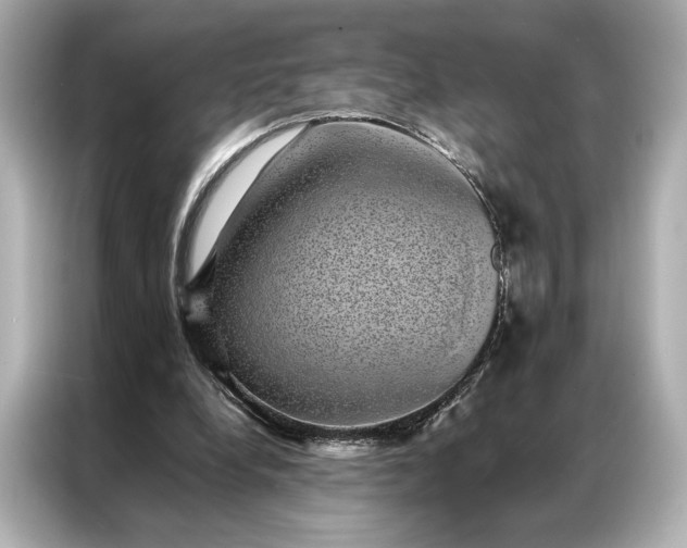 X0000086890248200704301003