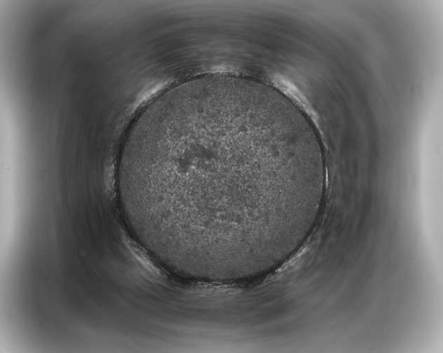 X0000086890249200704301003