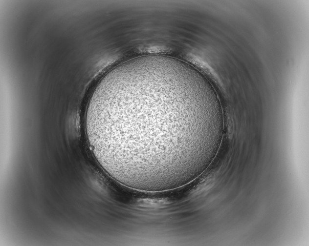 X0000086890251200704301003