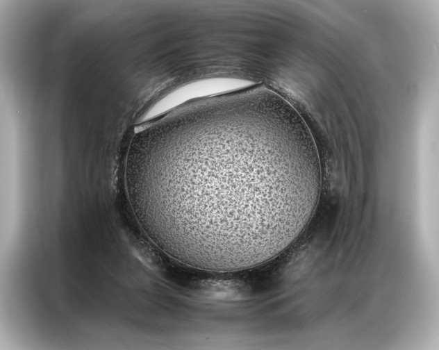 X0000086890255200704301003