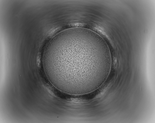 X0000086890259200704301003