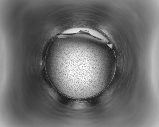 X0000086890261200704301003