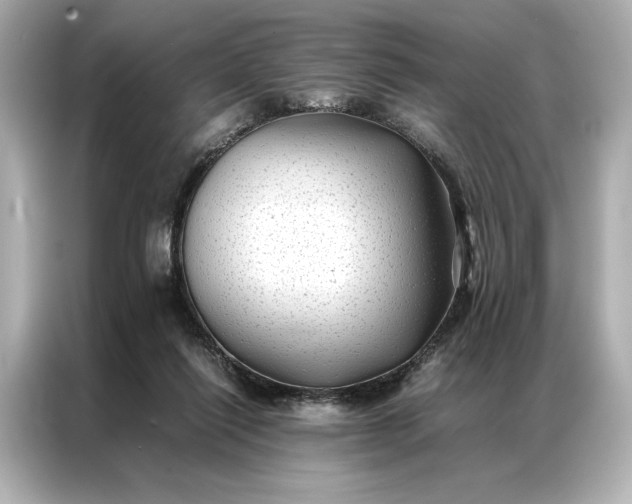 X0000086890262200704301003