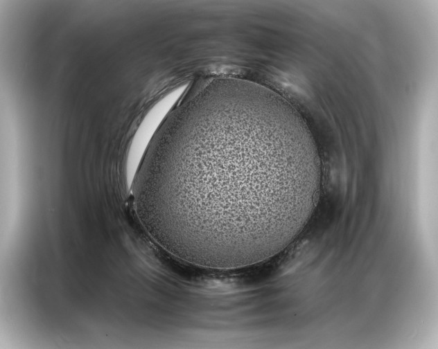 X0000086890263200704301003