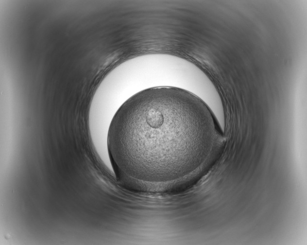 X0000086890264200704301003