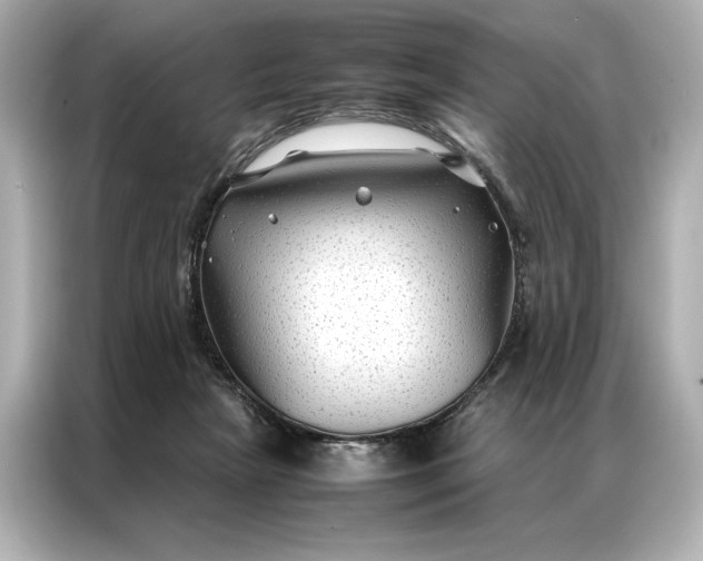 X0000086890265200704301003