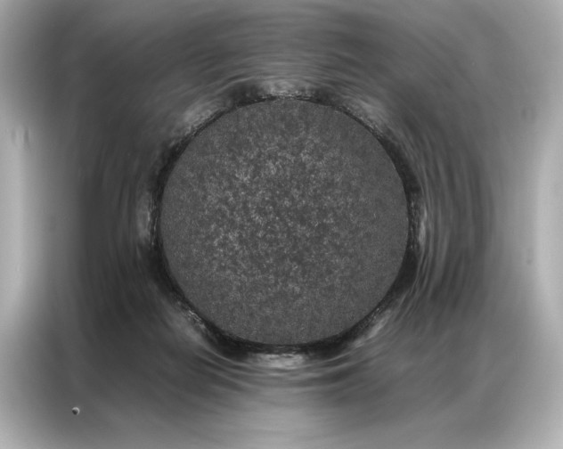 X0000086890266200704301003