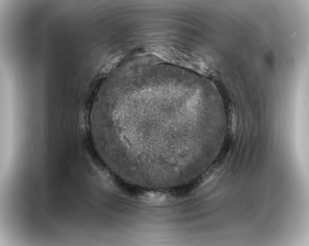 X0000086890272200704301003