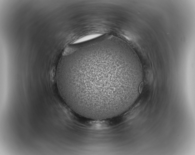 X0000086890273200704301003