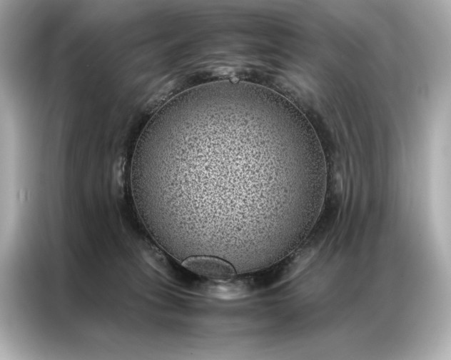 X0000086890275200704301003