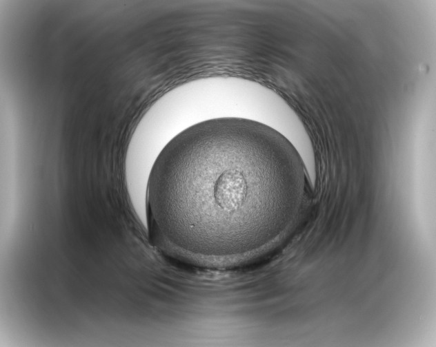 X0000086890276200704301003