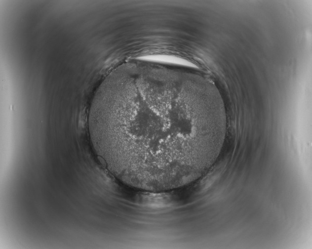 X0000086890277200704301003