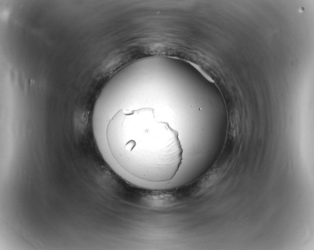 X0000086890278200704301003