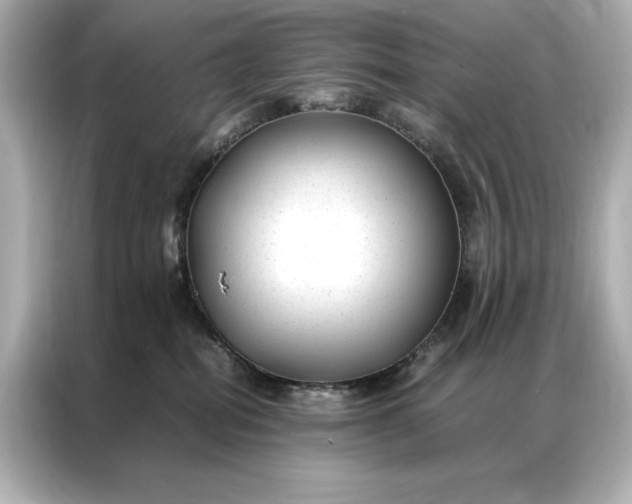 X0000086890282200704301003