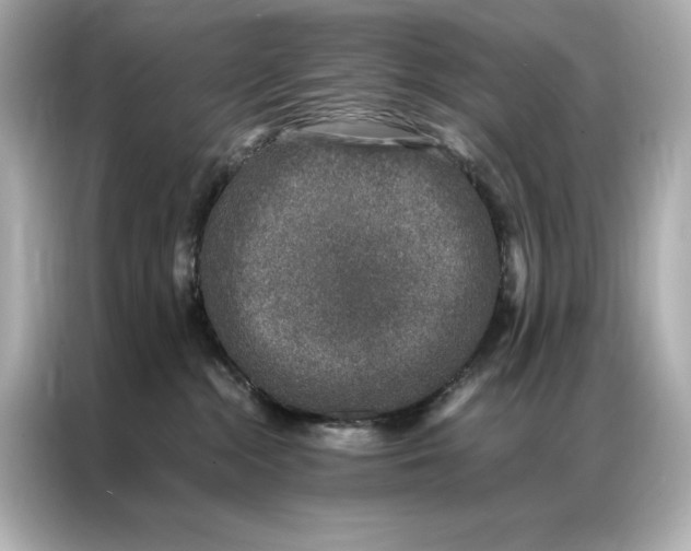 X0000086890284200704301003