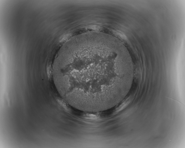 X0000086890285200704301003