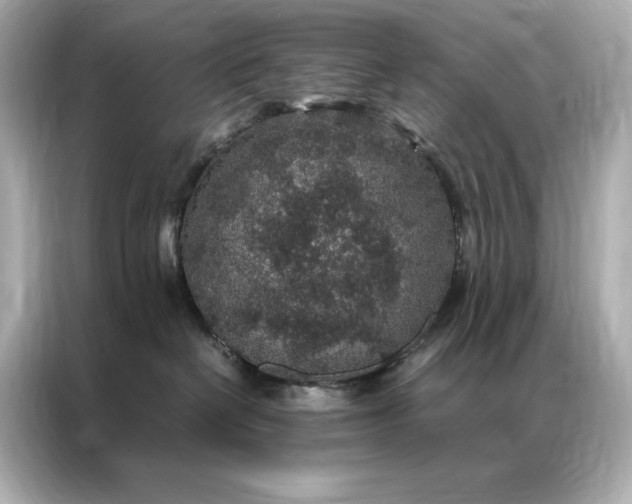 X0000086890286200704301003