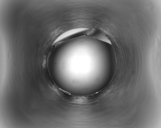 X0000086890288200704301003