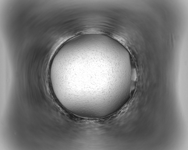 X0000086890289200704301002