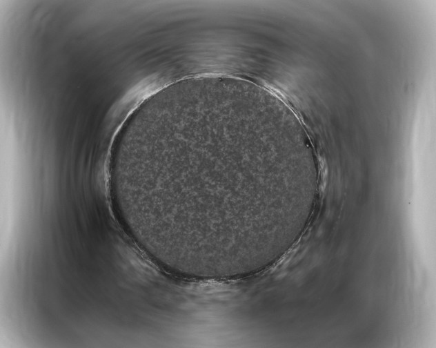 X0000086890290200704301002