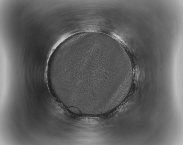 X0000086890292200704301002