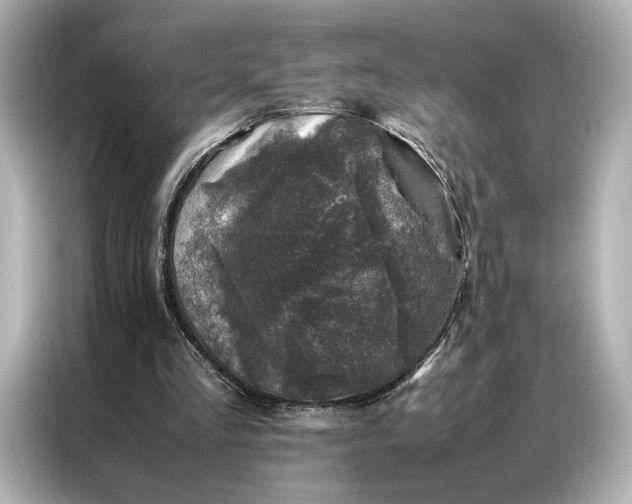 X0000086890293200704301002