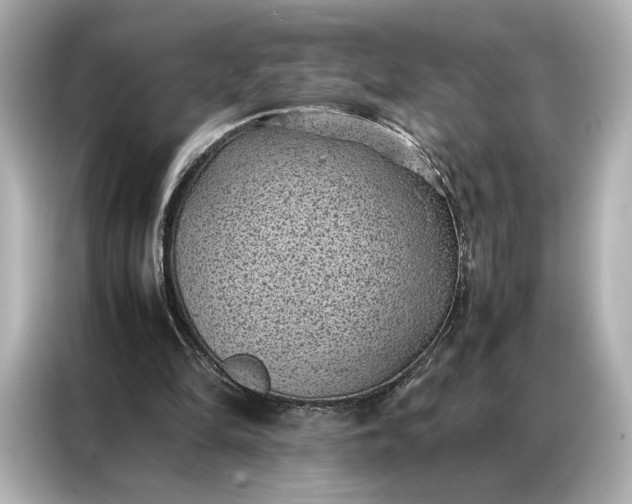 X0000086890294200704301002