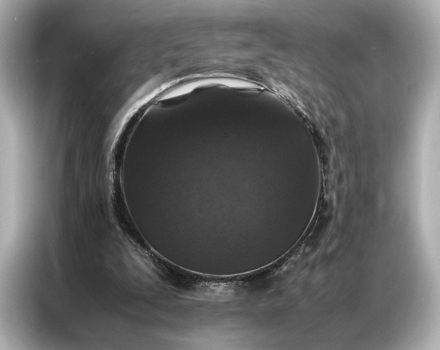 X0000086890295200704301002