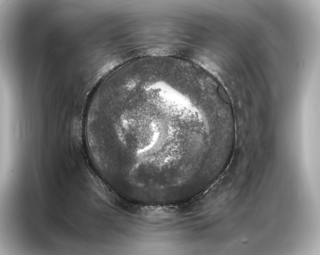 X0000086890297200704301002