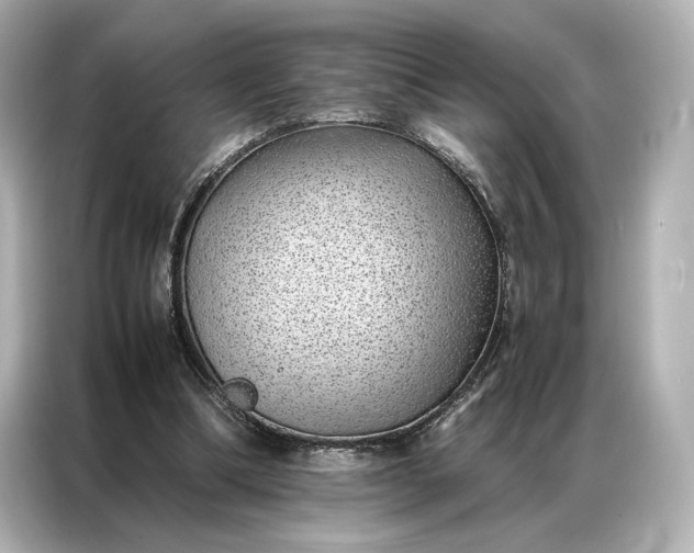 X0000086890298200704301002