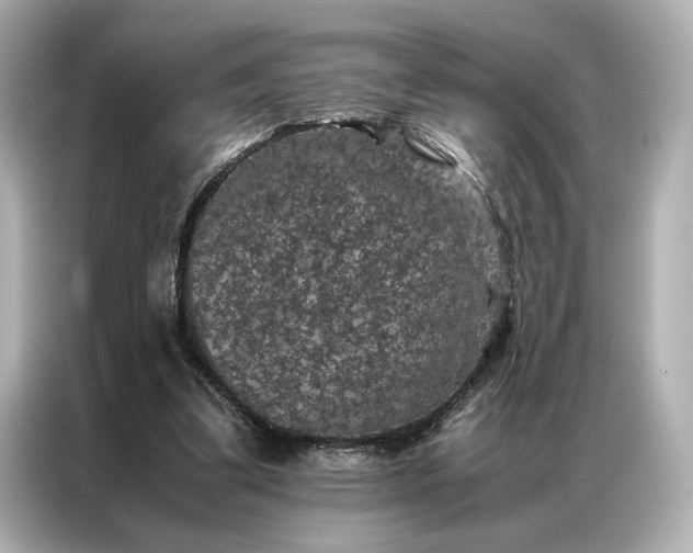 X0000086890299200704301002