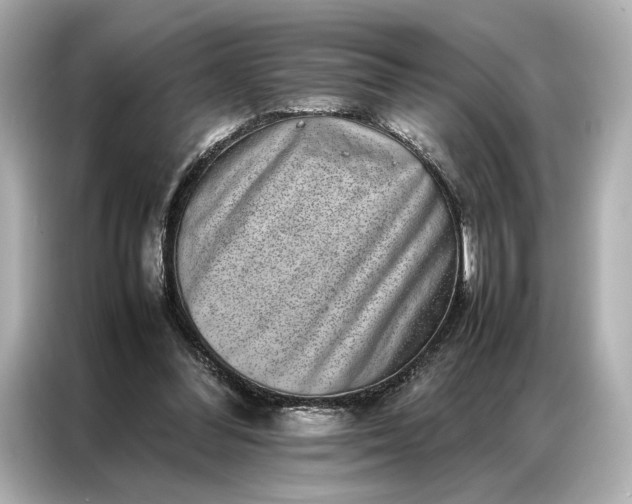 X0000086890300200704301002