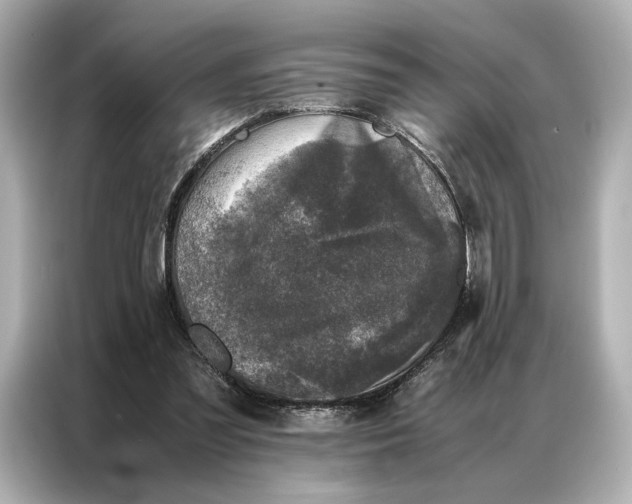 X0000086890301200704301002